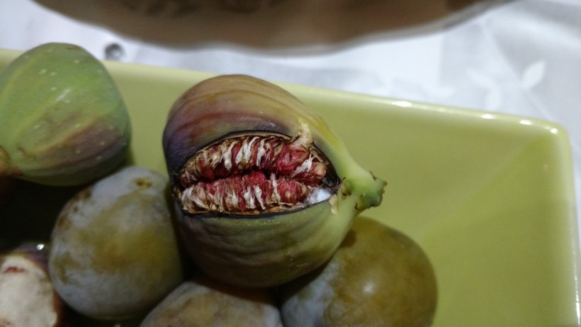 IMG_20170811_215554381