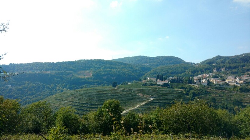 2017-10-16 18.15.58.jpg