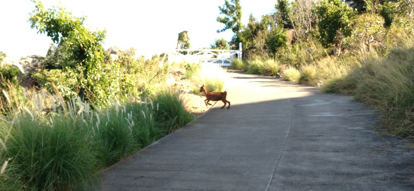 IMG_20171229_144440181