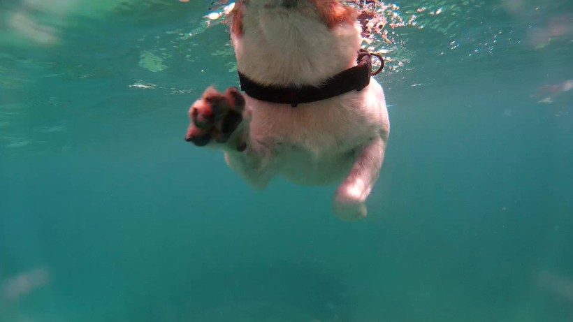 2017_0424_171516_004_Moment(2)