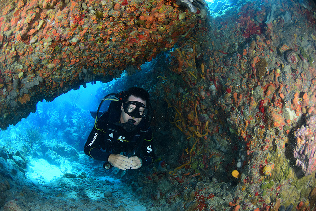 32458944847_2656734822_z