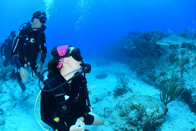 46677518954_bce0166ccb_z