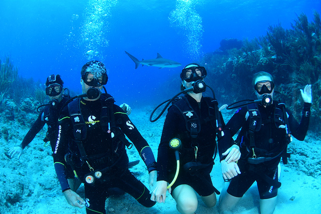 47348051822_2afc57777b_z