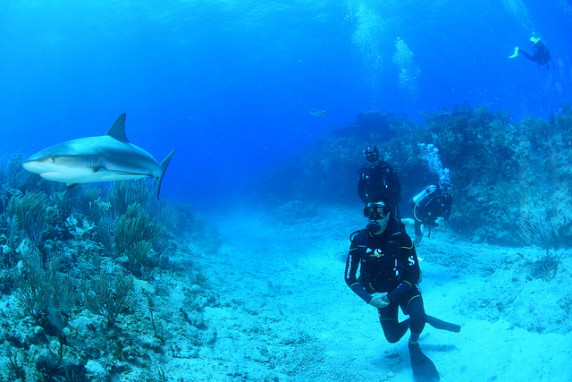 47400858101_d765b6615d_z