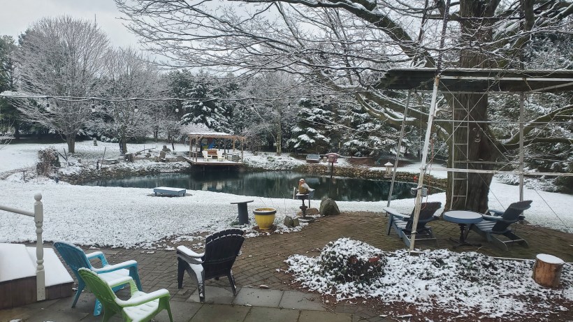 Scenic view of pond surrounded by snow